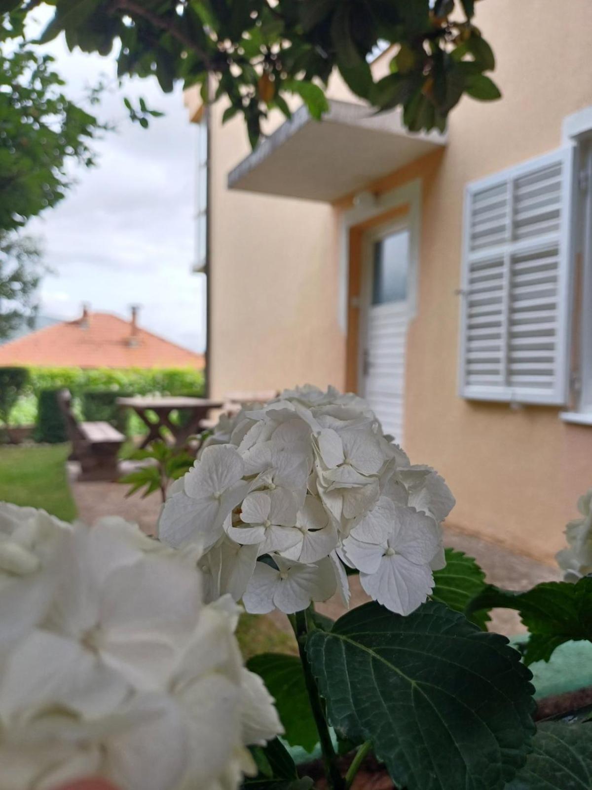 Apartments For Friends Trebinje Eksteriør bilde